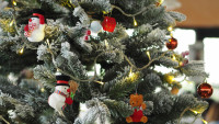 vánoce the-christmas-tree-1081317 1280